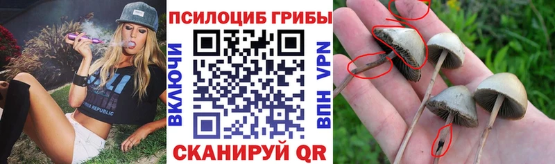 магазин  наркотиков  blacksprut tor  Галлюциногенные грибы мухоморы  Дербент 