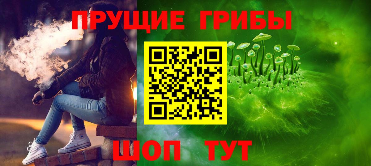 Псилоцибиновые грибы Cubensis  Псилоцибиновые грибы ЛСД  Вход с VPN  Дербент 