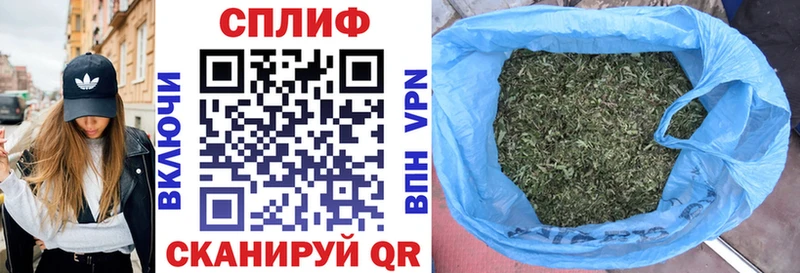 Шишки марихуана план  Дербент 
